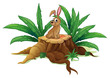 Vector: A brown bunny sitting above the wood A brown bunny sitting above the wood