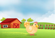 A hen in the farm with a wooden house at the back