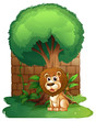 Vector: A lion under a big old tree A lion under a big old tree