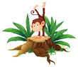 A stump with a playful monkey