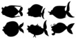 Silhouettes of the different sea creatures
