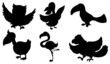 Silhouettes of the different kinds of birds