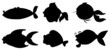 Different fishes in black color