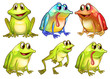Vector: Six different frogs Six different frogs