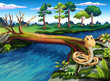 A snake at the riverbank