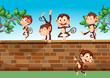 Five monkeys playing at the fence