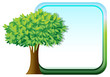 A big green tree beside an empty template