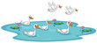 A group of ducks at the pond