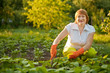 woman working in field of beans