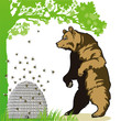 Bär mit Bienenstock