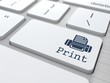 "Print" Button.