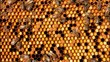 Pollen in combs.