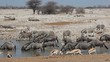 Wildlife gathering at a waterhole, Etosha National Park