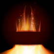 Fire flame on black background with Text space