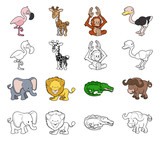 Cartoon Safari Animal Illustrations