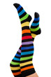 female legs