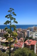 Point de vue sur Malaga depuis le Gibralfaro, Andalousie