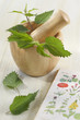 Photo: Ortie - Plante médicinale Ortie - Plante médicinale