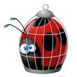coccinella in gabbia
