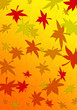 紅葉の背景