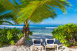 petit coin des Seychelles face au lagon