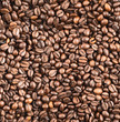 Coffee bean surface as a seamless background