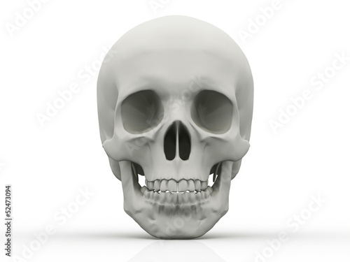 Photo: 3d human skull isolated on white background 3d human skull isolated on white background