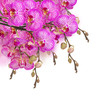 orchid flowers  branch