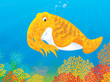 Cuttle swimming above colorful corals