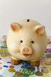 Dickes Sparschwein und Eurogeld