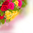 multcolored roses bouquet