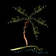 Palm tree.