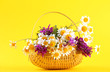 Beautiful wild flowers in basket, on yellow background