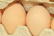 Photo: egg egg