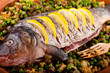 Baked crucian on a pillow from lentil and peas