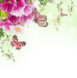 A spring primrose is in a bouquet, butterfly