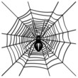 Spider on Web Tattoo-Ragno su Ragnatela Tatuaggio-Vector