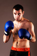 fighter