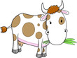 Cute Farm Cow Vector Illustration Art