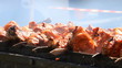 Shish kebab on the grill  