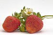 Photo: rote und grüne Erdbeeren rote und grüne Erdbeeren