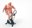 Anatomía  Hombre haciendo deporte