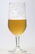 Bier01