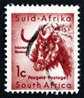 Photo: Postage stamp South Africa 1926 Gnu, Antelope Postage stamp South Africa 1926 Gnu, Antelope