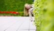 Adorable little girl outdoors