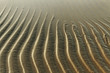 Wet sand.