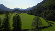 Aerial view of rural meadow, solitary trees and alpine village