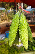 bitter melon growing on a vine in garden fruit of Thailand.