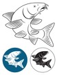 Vector: fish barbel fish barbel