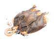 Crude flatfish isolated on white background